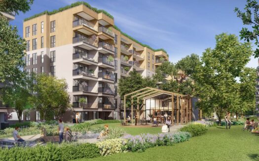 مشروع سينباش ساكلي كورو